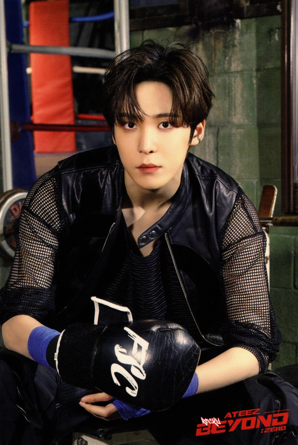 Official MD Pop-Up Limited Postcard Set