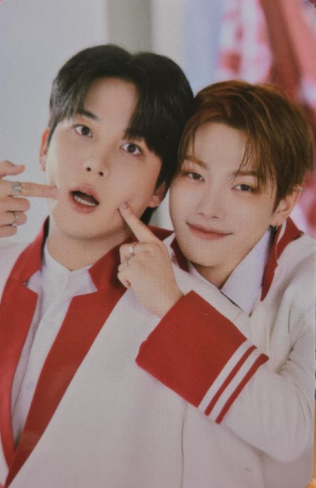 ANITEEZ in THE CALLING Luggage Cover - XL