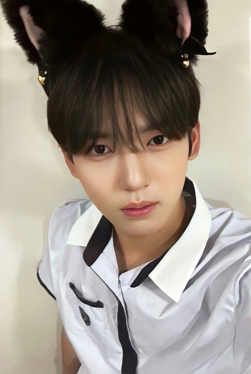 Makestar 1.0 Cat Ver. Preorder