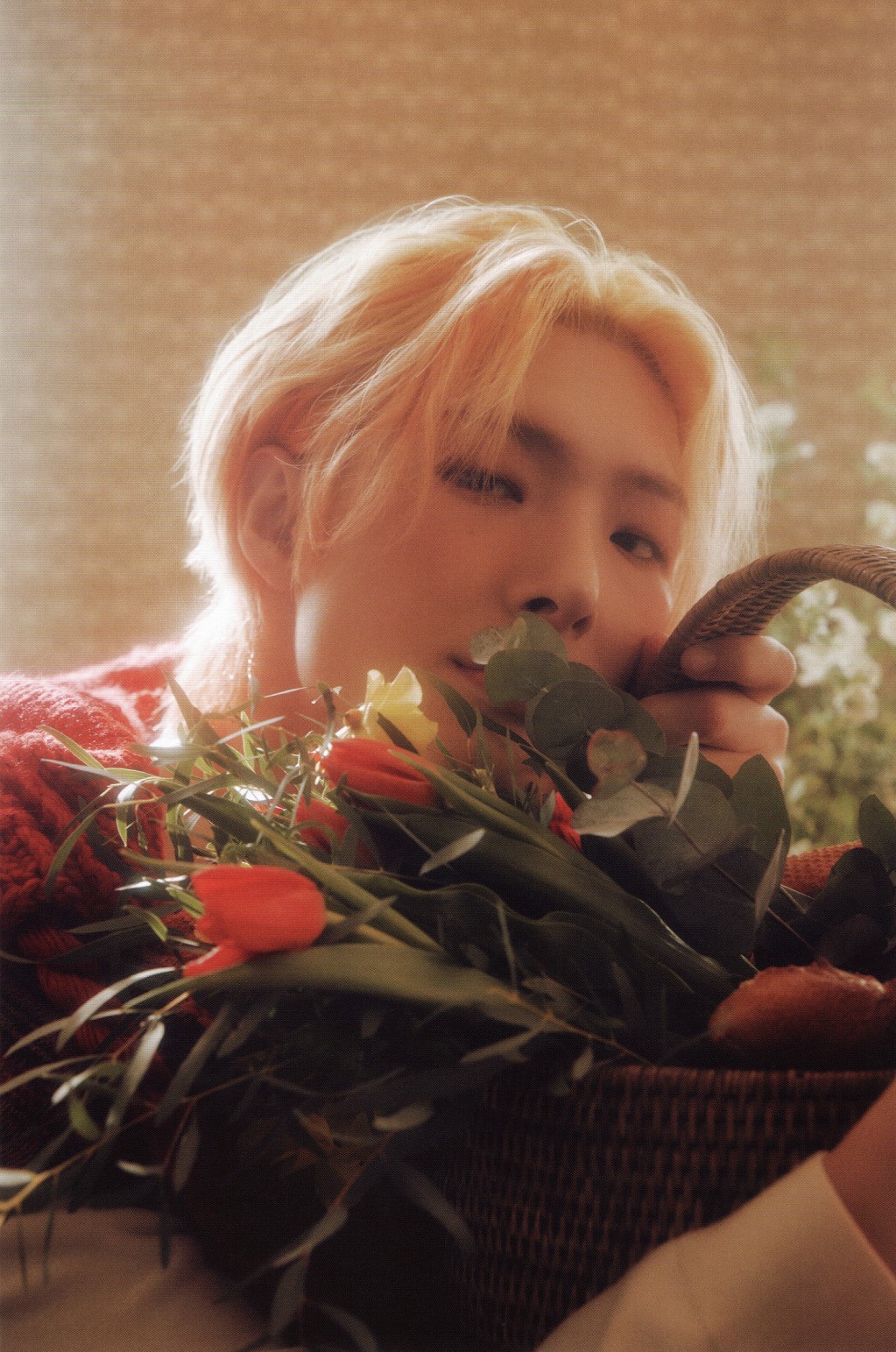Mingi