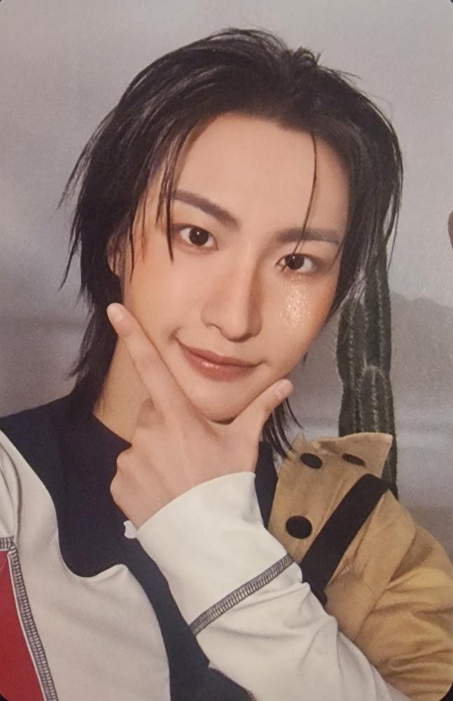 ANITEEZ in TREASURE Trading Cards