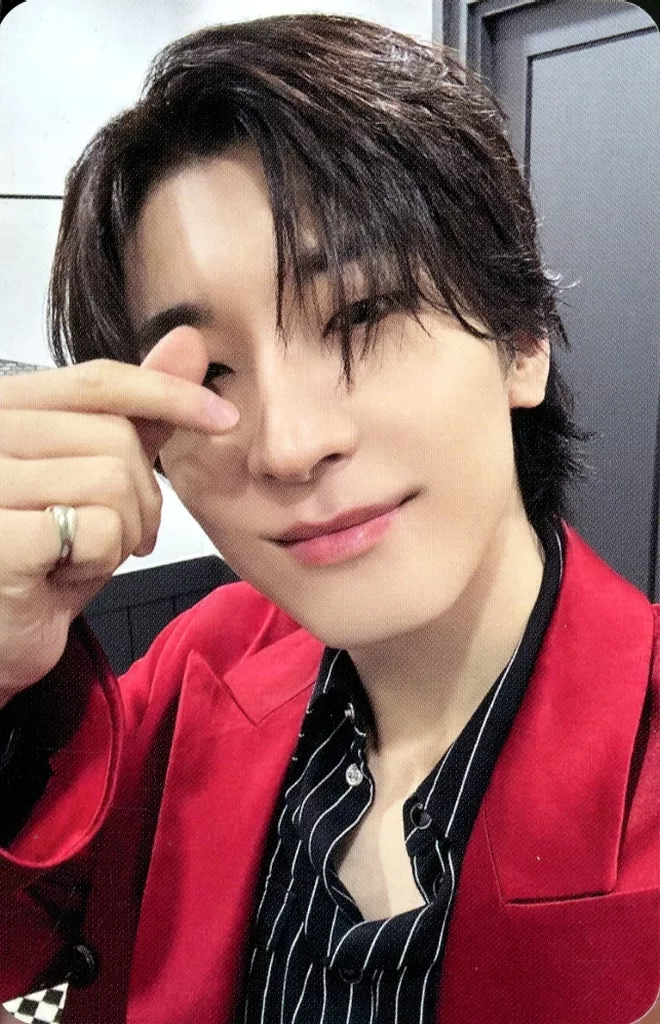 Wonwoo SEVENTEEN photocard - SPILL THE FEELS Photocard