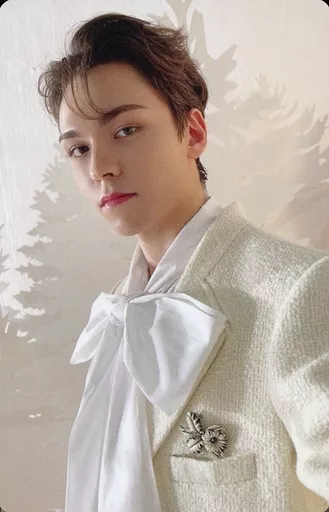 Vernon SEVENTEEN photocard - あいのちから (Power of Love)