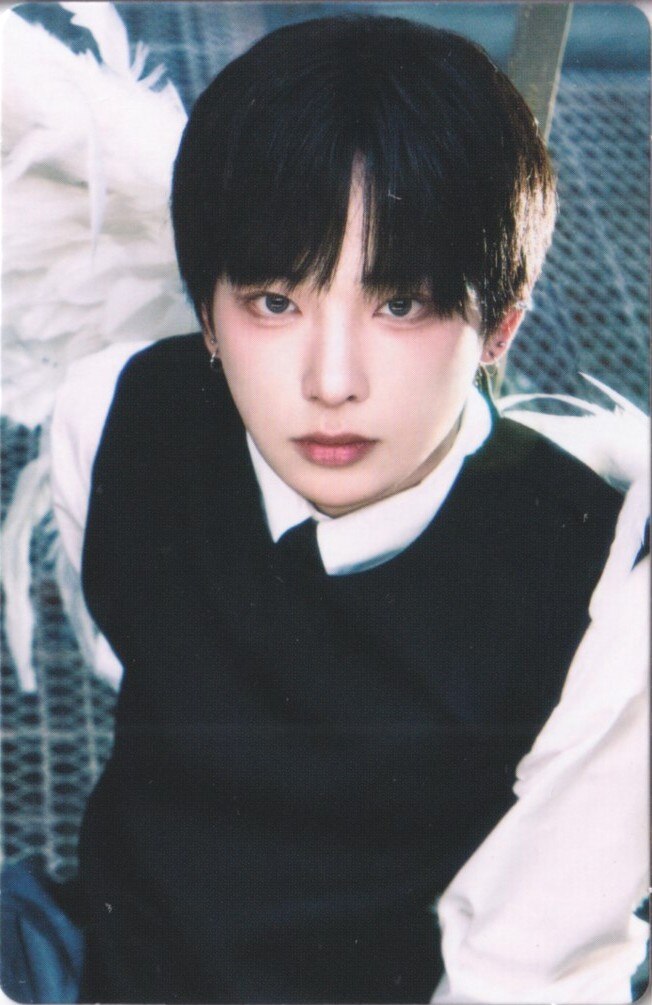 Official MD Pop-Up Photocard Set B