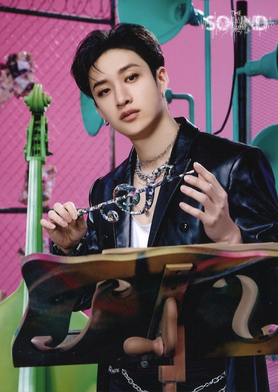 Official MD Trading Card