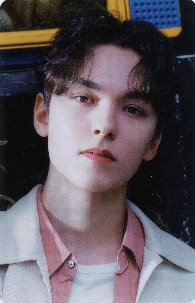 Vernon SEVENTEEN photocard - 消費期限 Photocard B