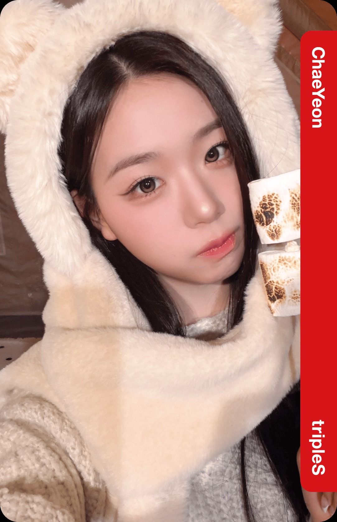 Lotte Home Shopping Collab Double Class Objekt - Selfie Version