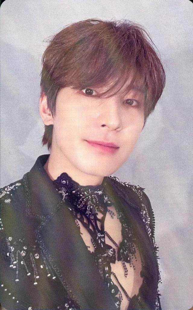 Wonwoo SEVENTEEN photocard from Preorder