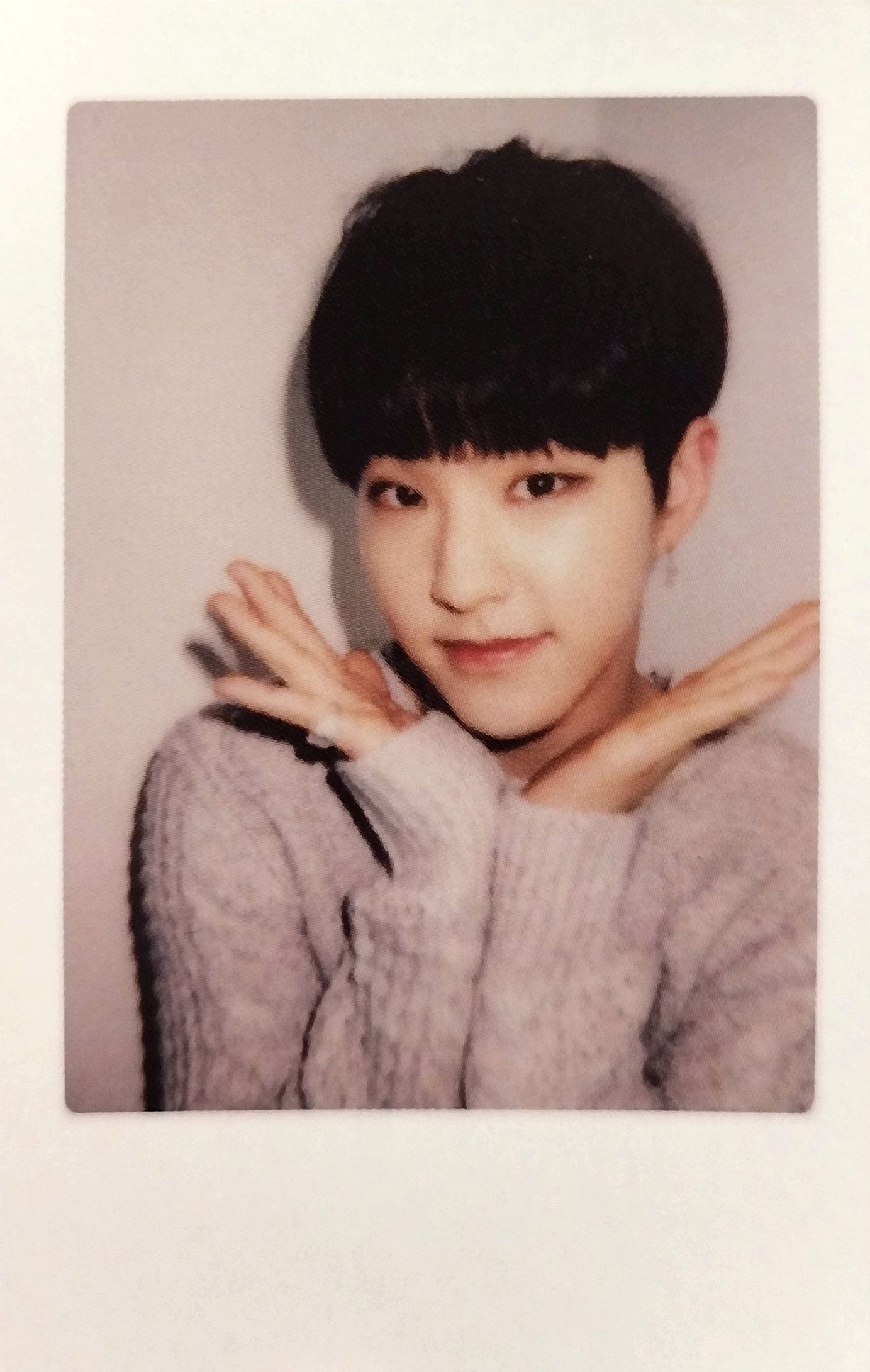 2017 Seventeen in Caratland Photocard Set