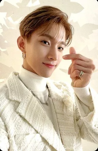 DK SEVENTEEN photocard - あいのちから (Power of Love)