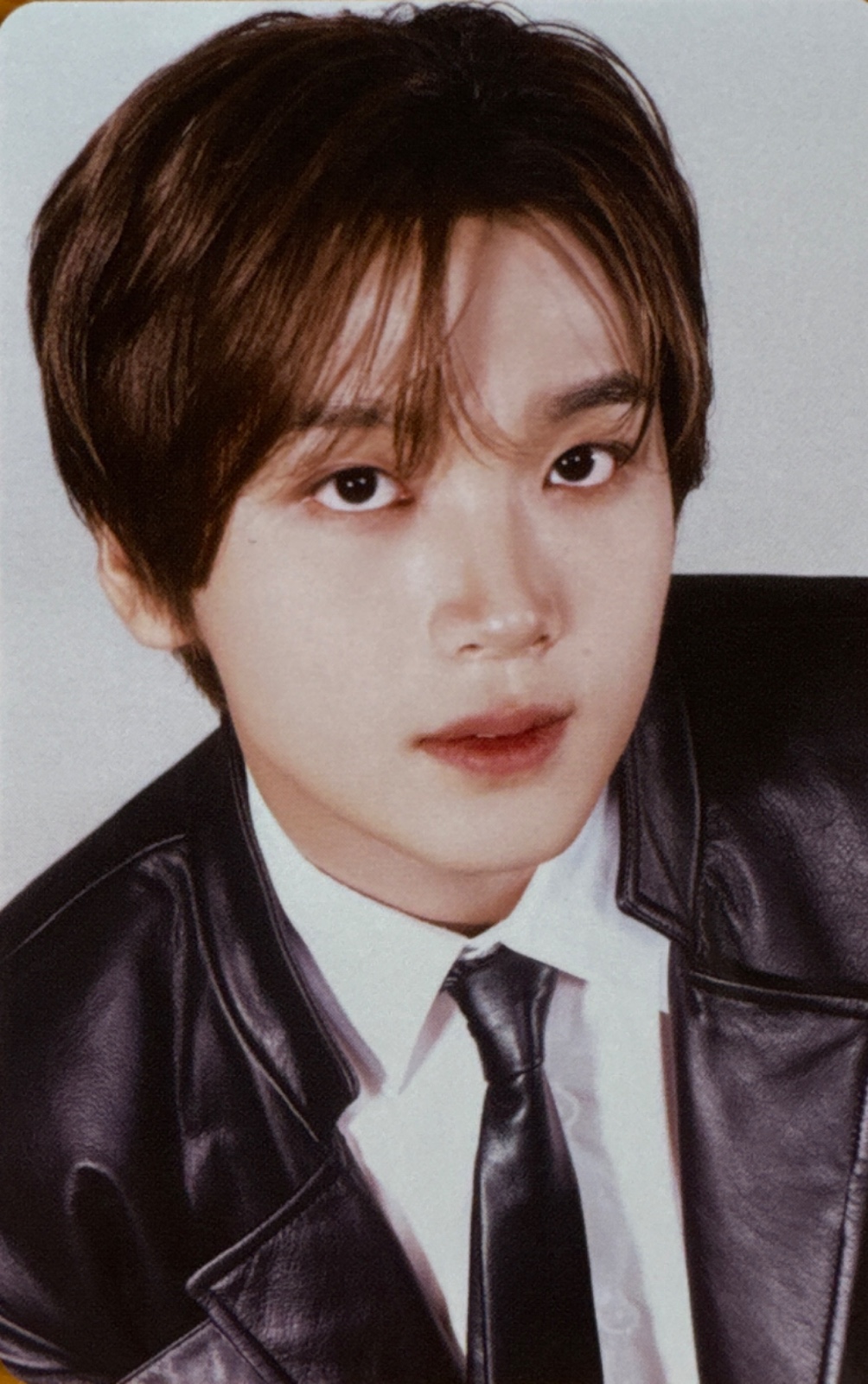 Seasons Greetings 2025 - Silhouette of Dream Photocards