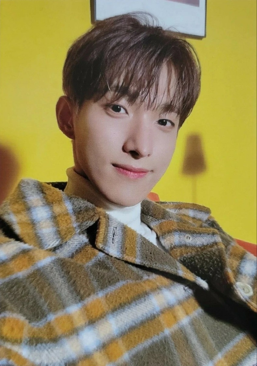 DK SEVENTEEN photocard - あいのちから (Power of Love) Christmas Card