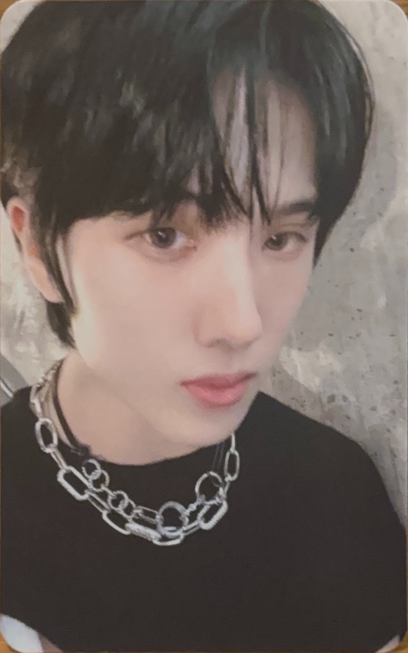 2024 Season's Greetings Random Trading Card