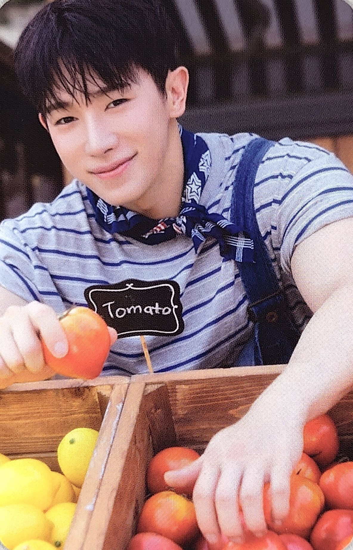 2026 Season’s Greetings ‘HOHO MARKET’ Calendar Photocard Set