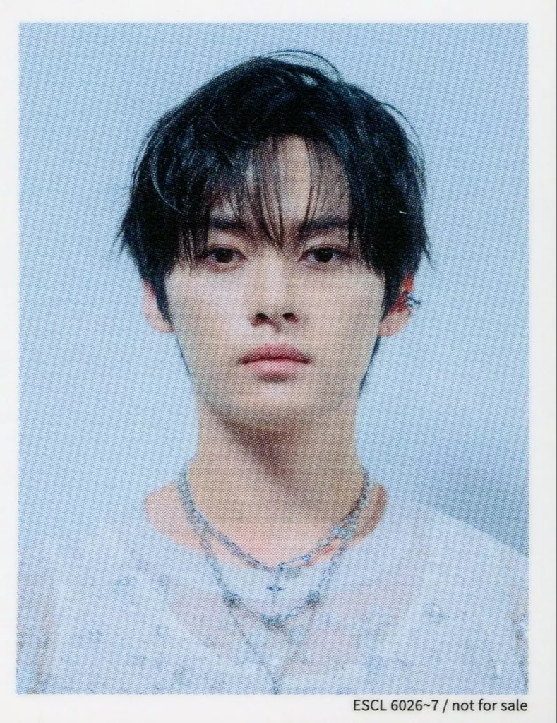 Lee Know Stray Kids photocard from ID Photo