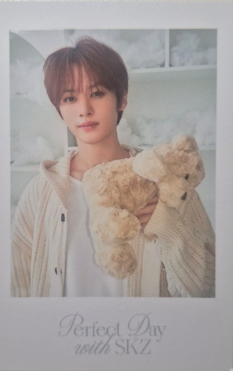2024 Season's Greetings - Perfect Day with SKZ Polaroid Photocard Set