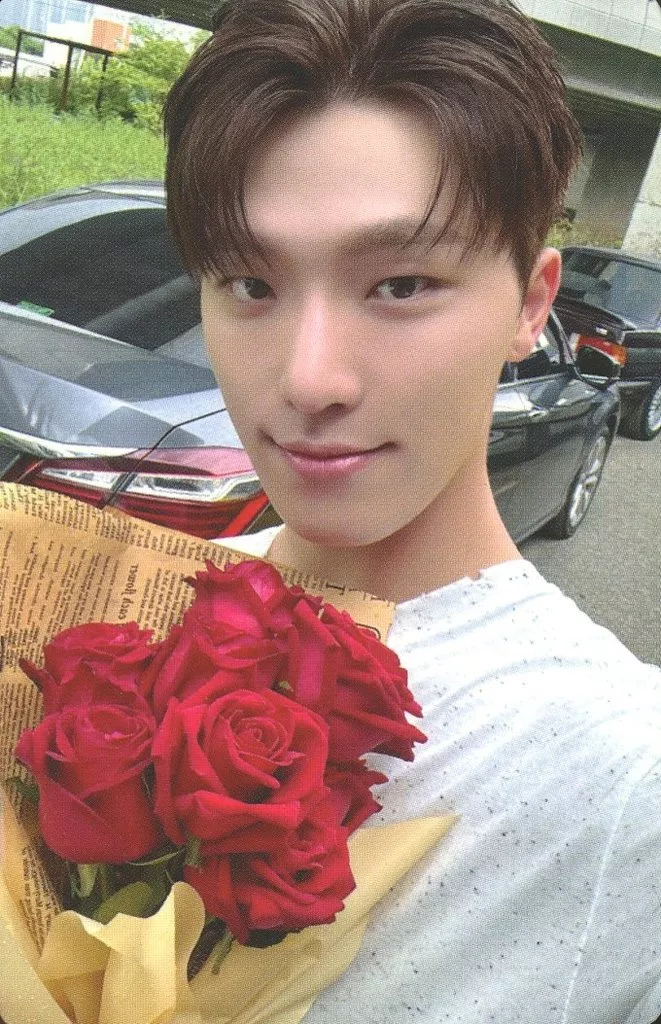 Dino SEVENTEEN photocard - SPILL THE FEELS Photocard