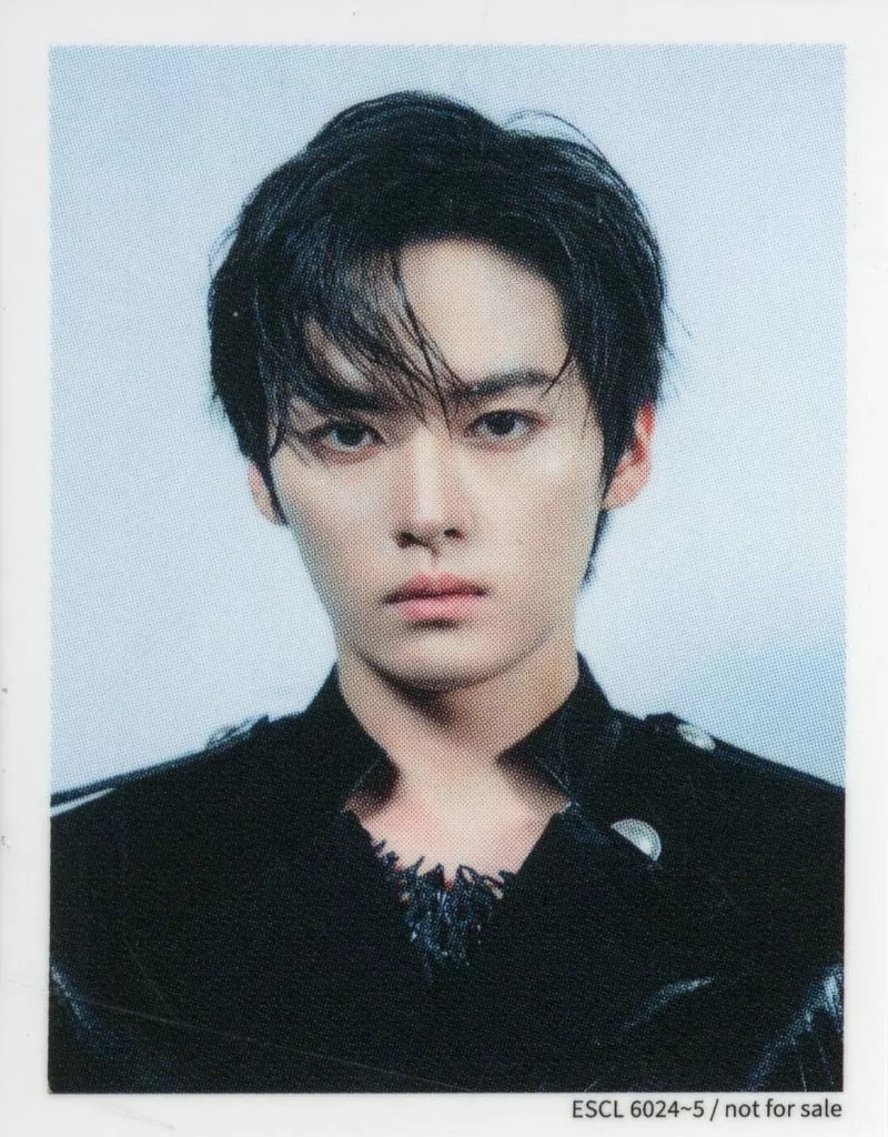 Lee Know Stray Kids photocard - GIANT ID Photo