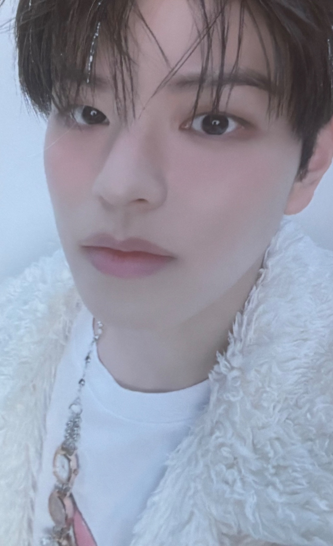 SKZ 5 O'Clock Fanmeeting Online Photocard Benefit