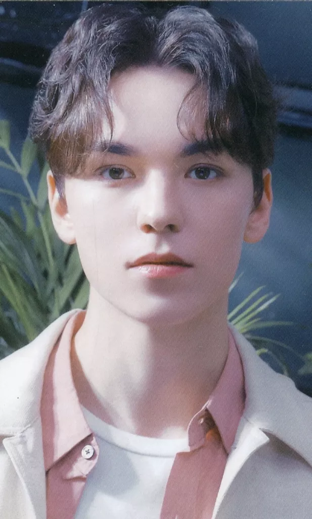 Vernon SEVENTEEN photocard from Preorder