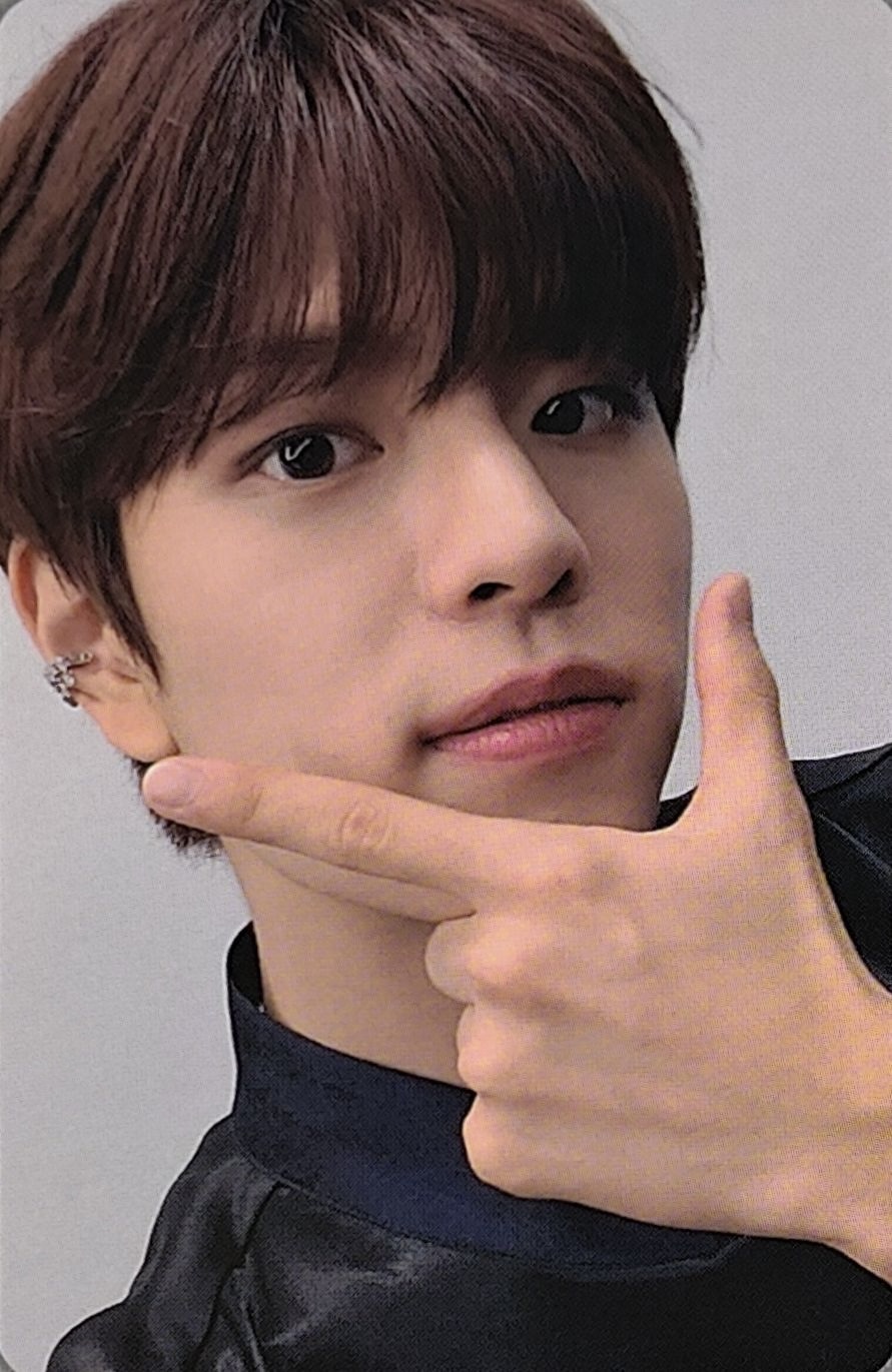 Dicon D'Festa Photocard