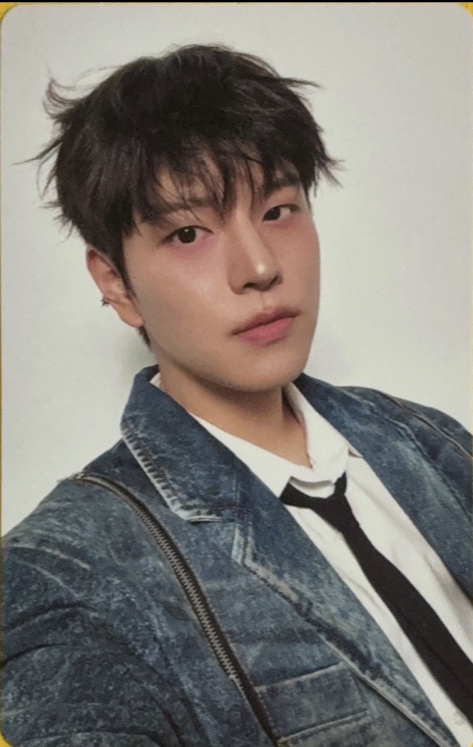 Seungmin Stray Kids photocard from Random Photocard