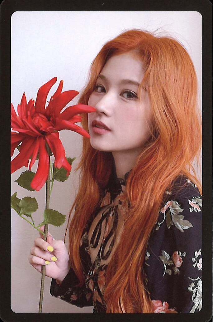 Photocard Set (Preorder Only)