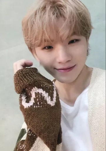 Woozi SEVENTEEN photocard - あいのちから (Power of Love) Trading Cards