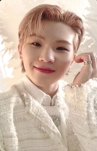 Woozi SEVENTEEN photocard from Photocards