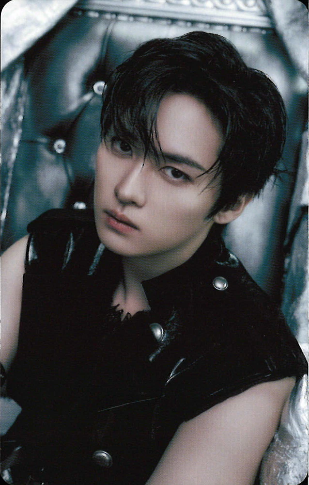 Lee Know Stray Kids photocard - GIANT Kyocera Dome