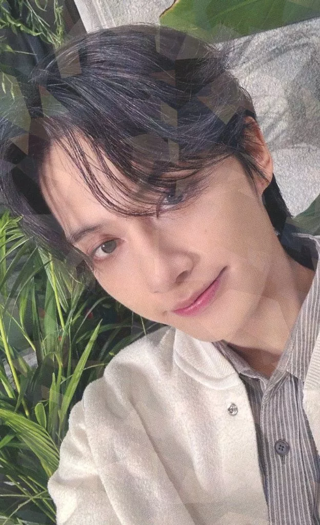 Jun SEVENTEEN photocard from Preorder