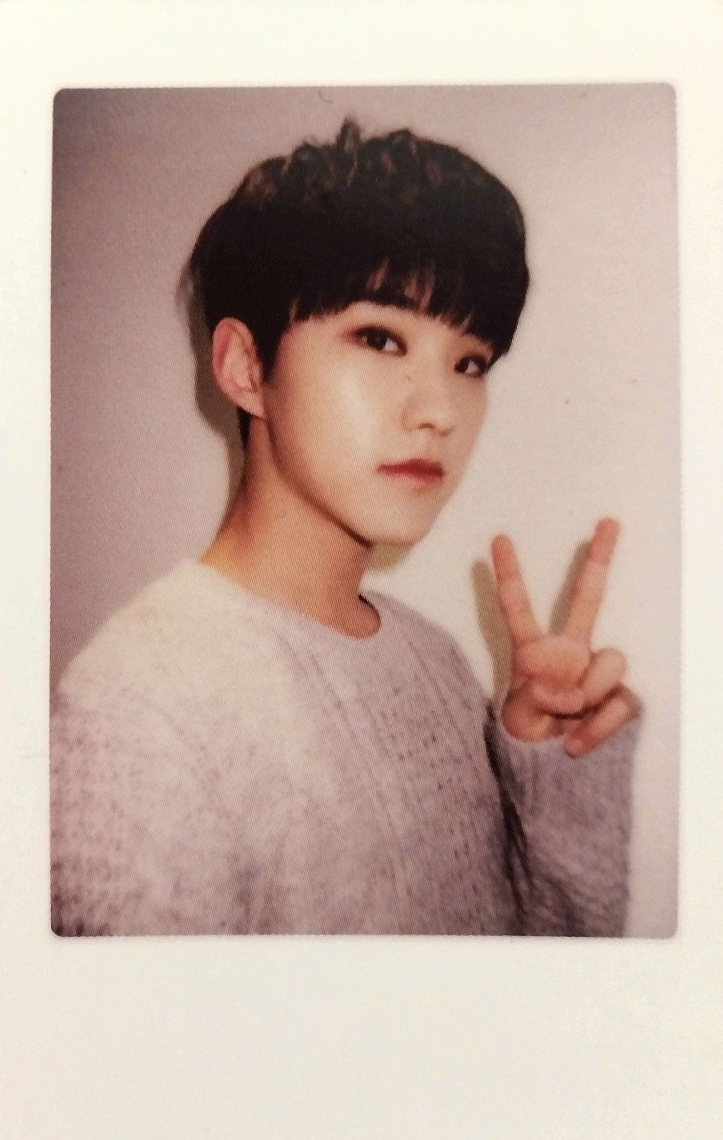 2017 Seventeen in Caratland Photocard Set