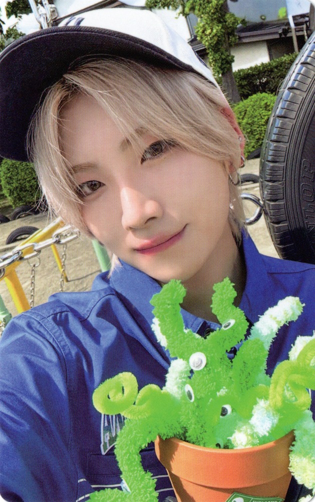 Yuma &TEAM photocard Photocard Set