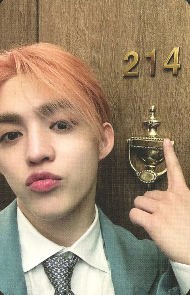 S.coups SEVENTEEN photocard - SPILL THE FEELS Photocard