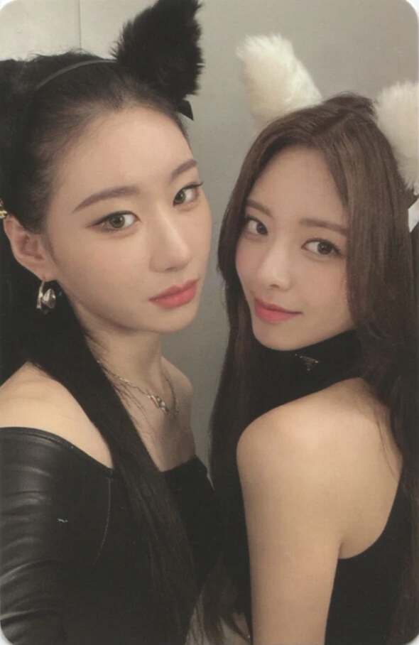  ITZY photocard - Cheshire Photocard