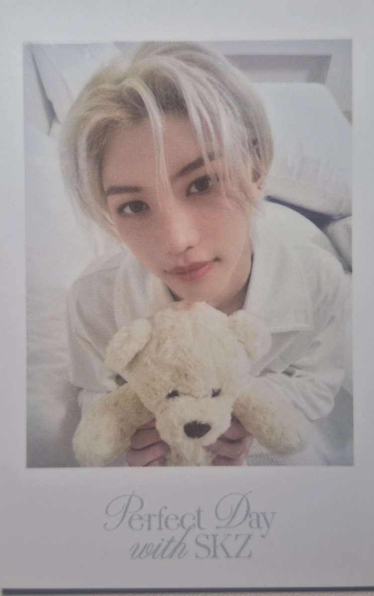 2024 Season's Greetings - Perfect Day with SKZ Polaroid Photocard Set