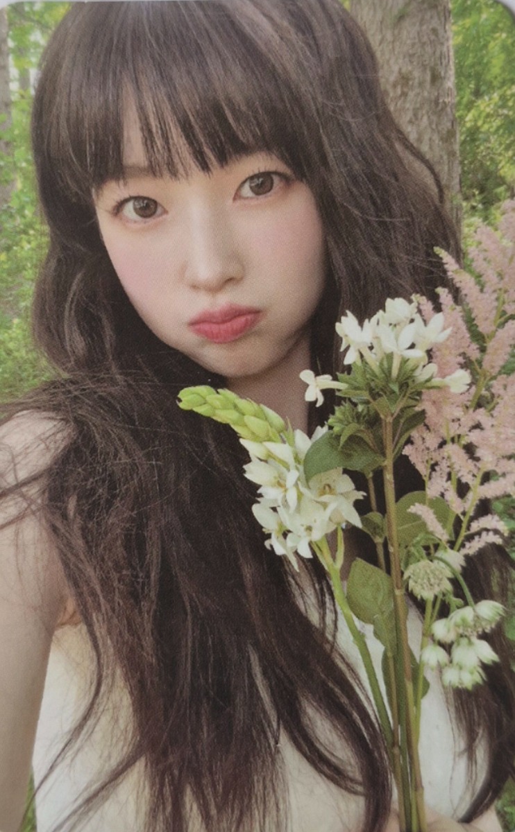 Random Photocard