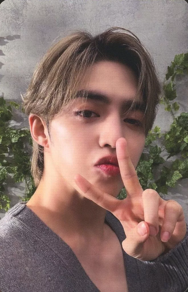 S.coups SEVENTEEN photocard - 消費期限 Selfie Photocard B