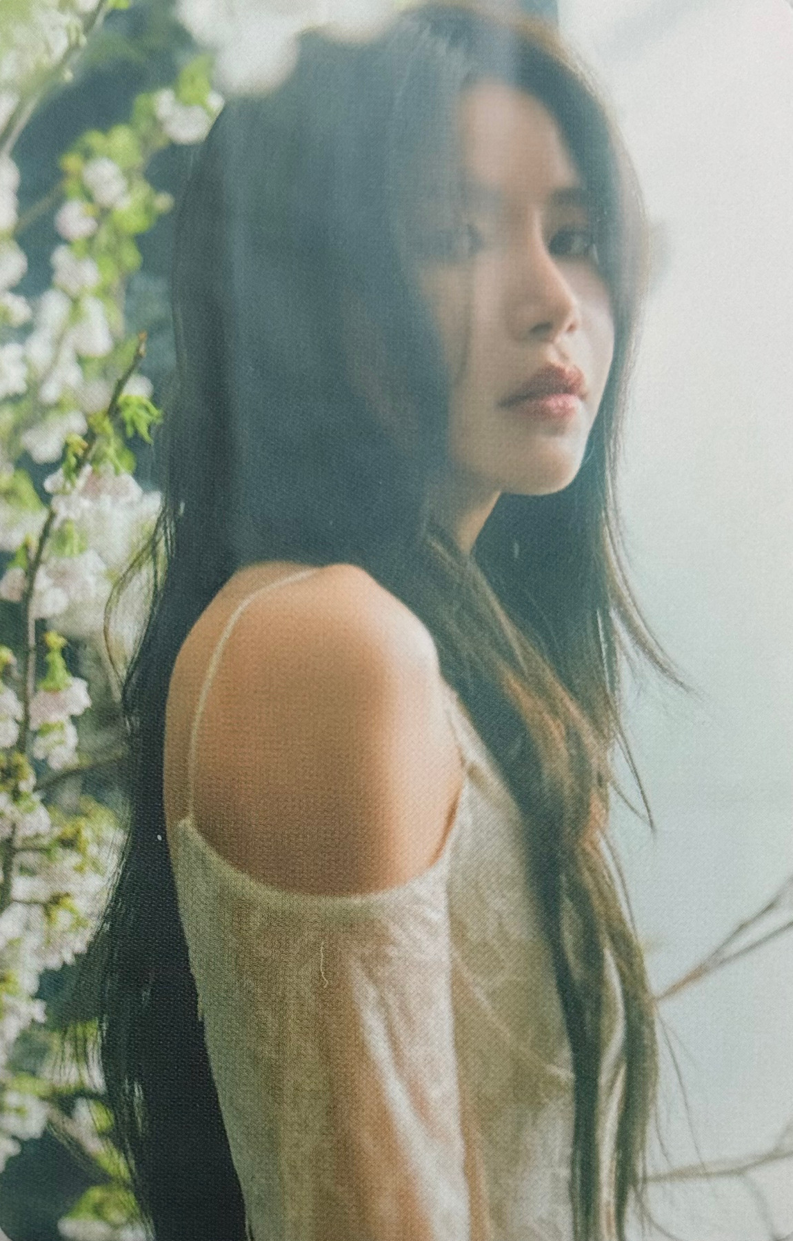Solar photocard
