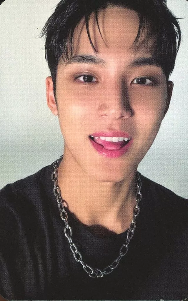 Mingyu SEVENTEEN photocard from Photocard