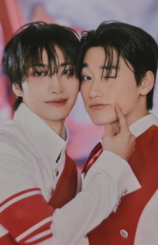 ANITEEZ in THE CALLING Luggage Cover - XL