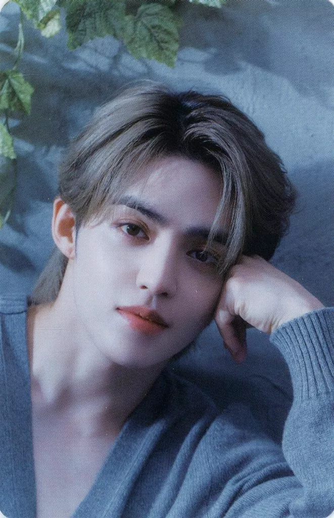 S.coups SEVENTEEN photocard from Photocard B