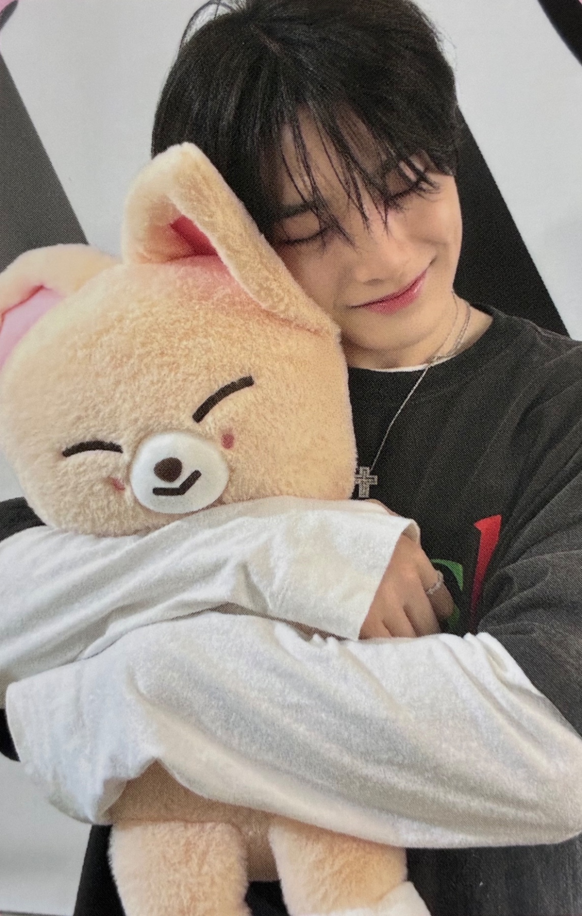 World Tour 'dominATE celebrATE' SKZOO Tincase