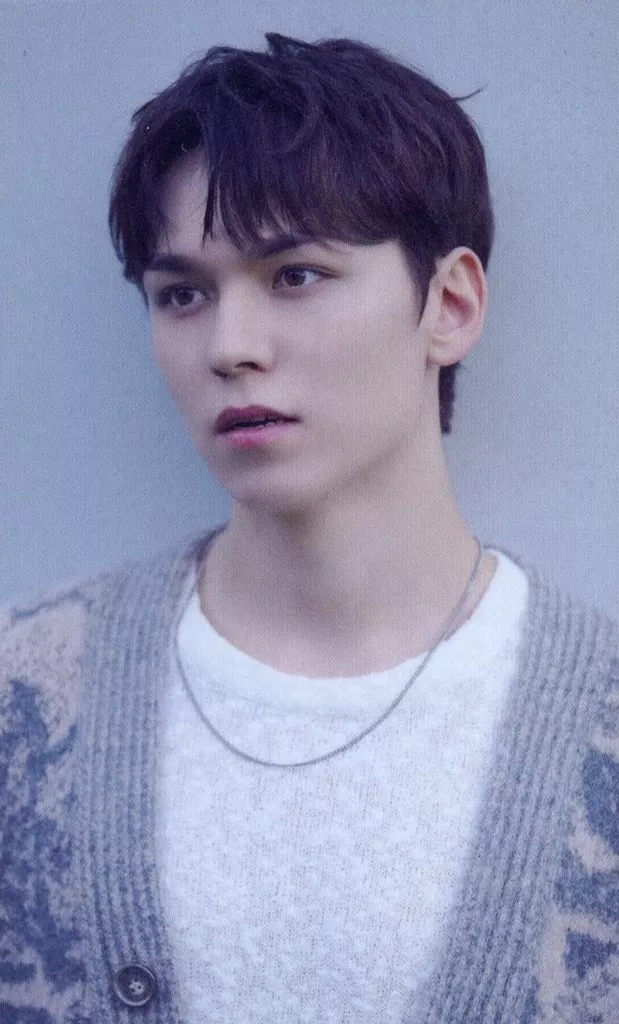 Vernon SEVENTEEN photocard - 消費期限 Aichi Purchase Benefit