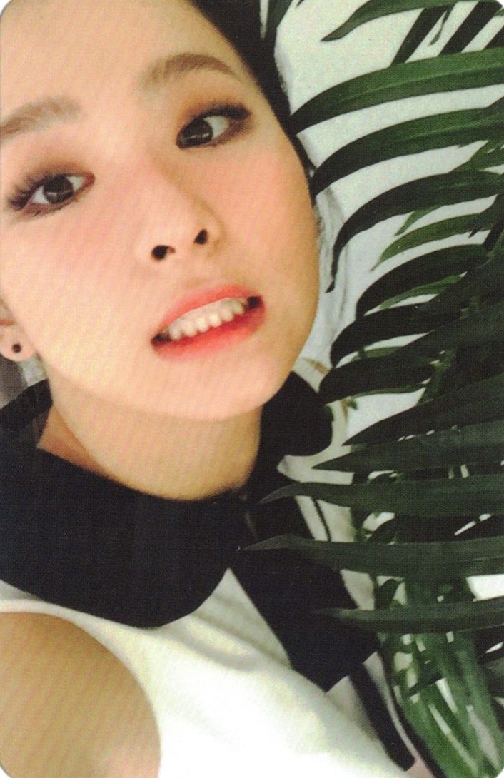 Seulgi Red Velvet photocard from Random Cards