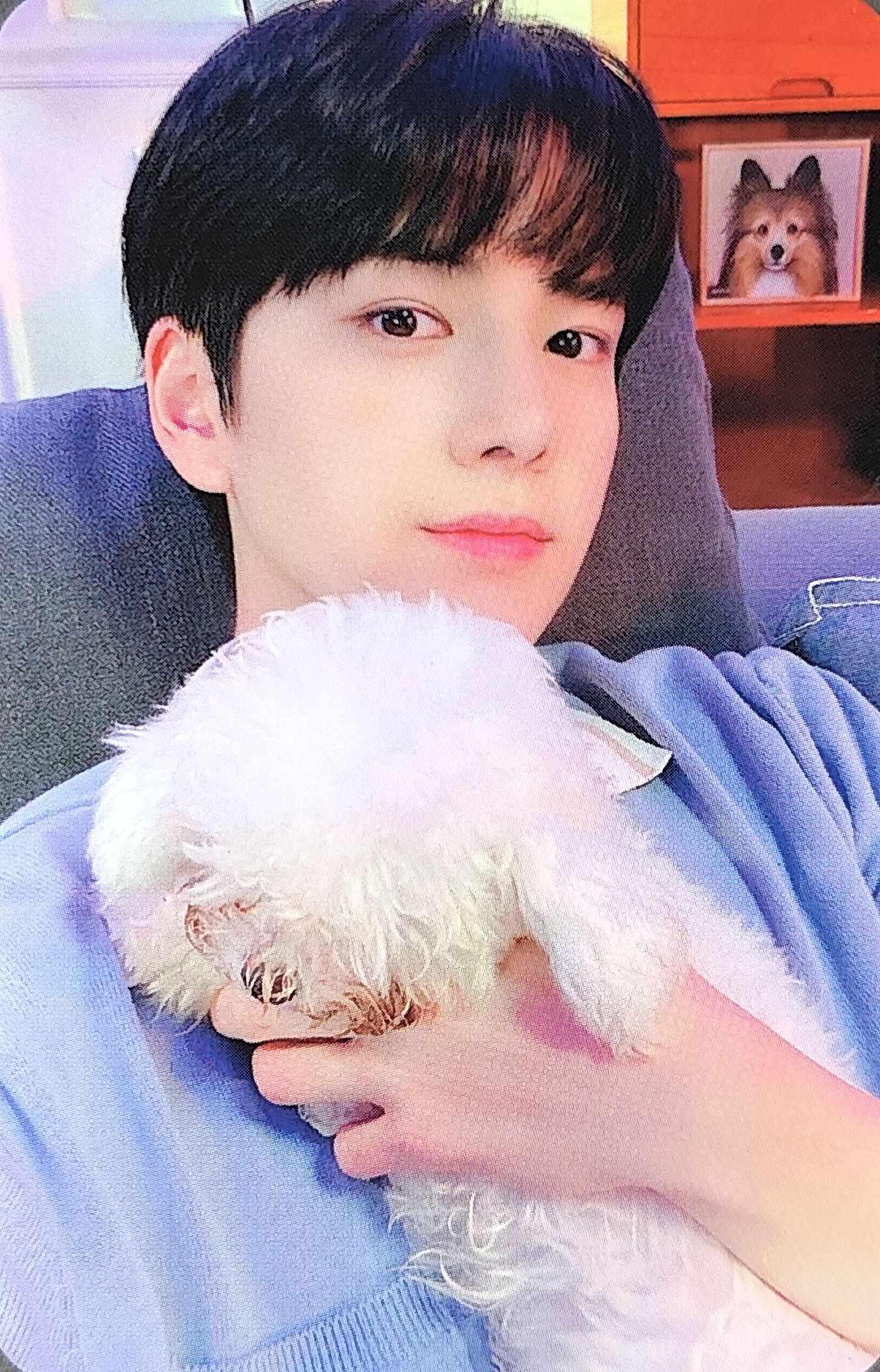 Younghoon THE BOYZ photocard from Benefit