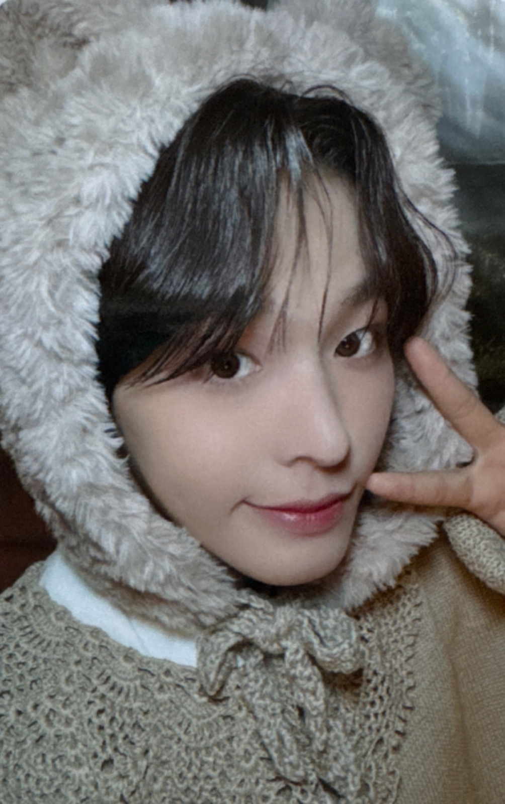 WISH BOOK Vol.1 Japan FC Photocards