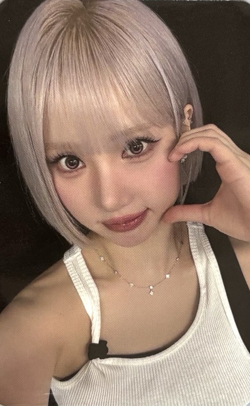 ZhengYi Fansign Offline