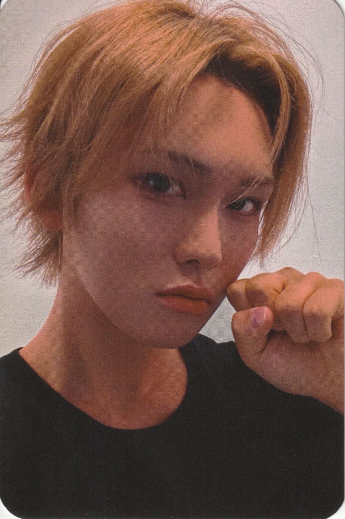 ZINE NPOMV ed. 007 Solo Photocard
