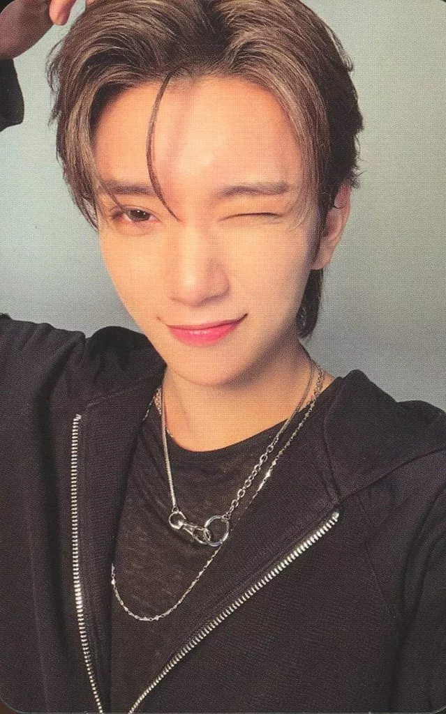 Joshua SEVENTEEN photocard - SPILL THE FEELS Photocard